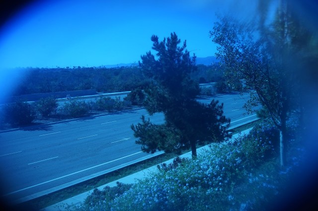 Day wb and a photo straight through the googles.