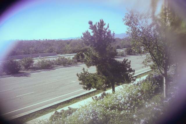 Result of trying to correct WB in Adobe Camera RAW using a JPEG file.