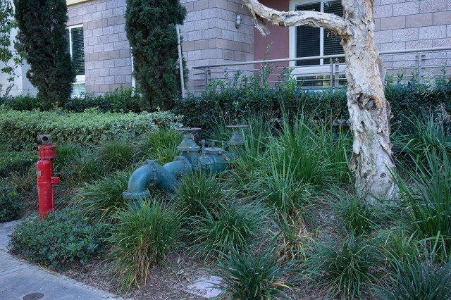 Photo 2, same time and location, behind the building, daylight WB (5500K) – blue color cast.