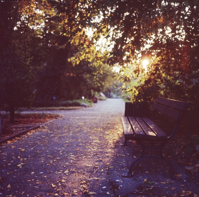 Fujifilm Portra 400 – violet all the way!